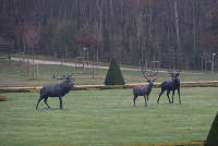 Jardins de Vaux-le-Vicomte