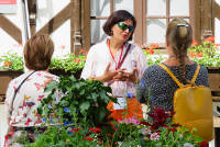 Village des peintres de Barbizon